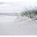 Viel Sand