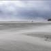 Wehender Sand